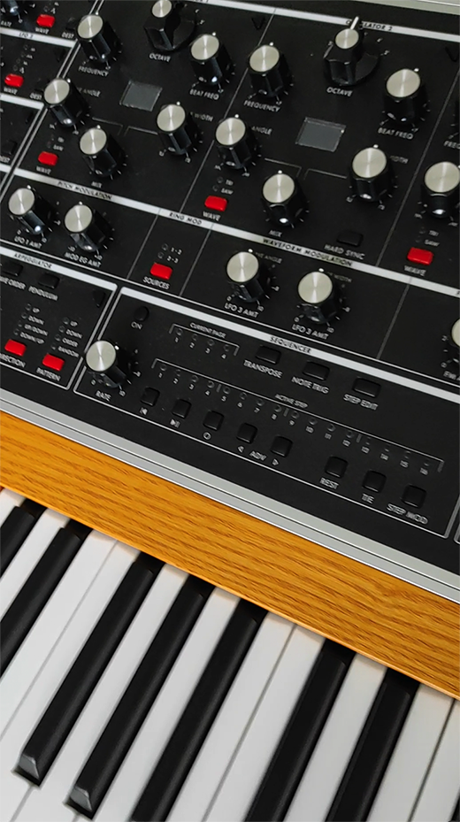 Moog1 2