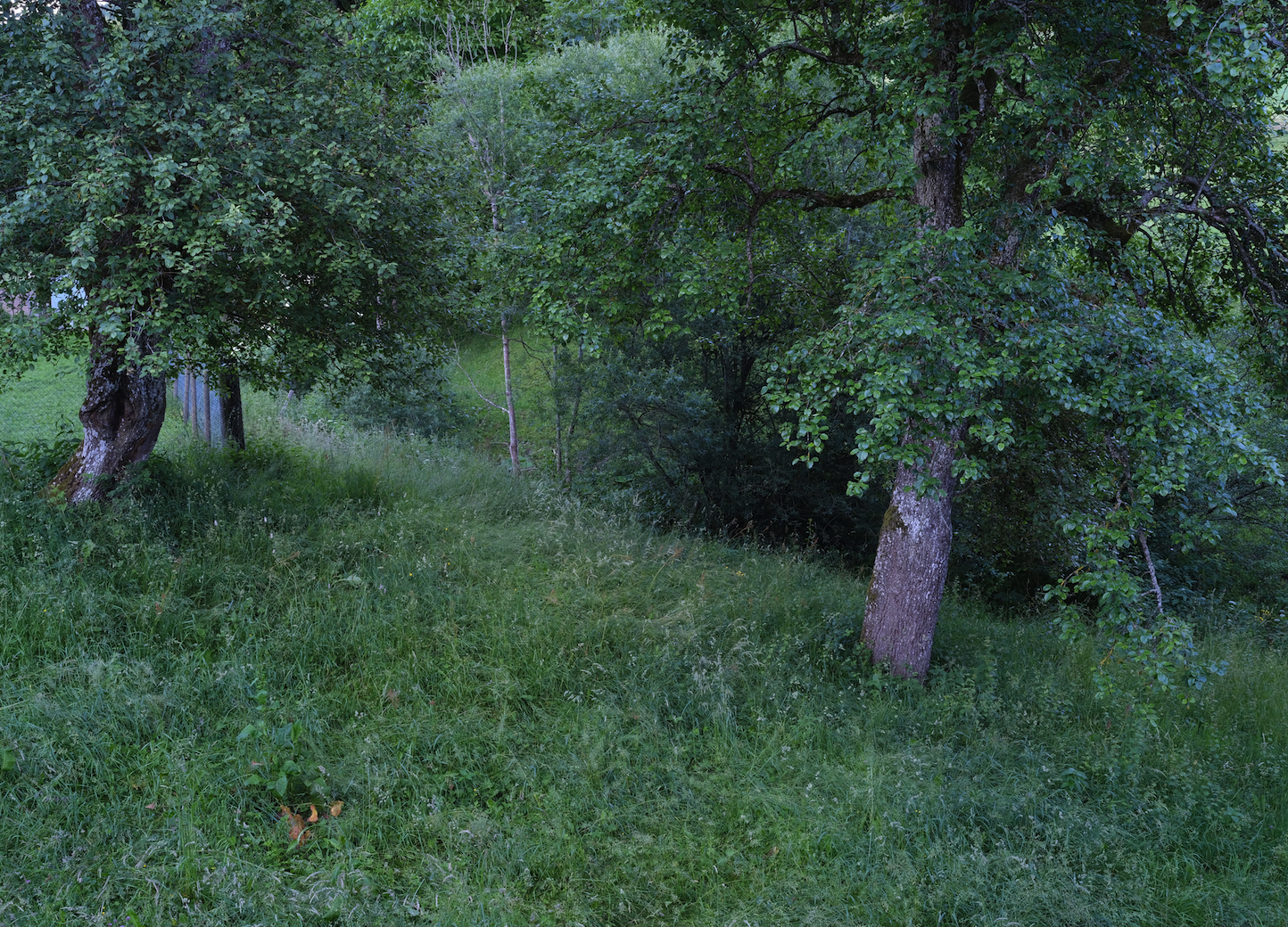 sö